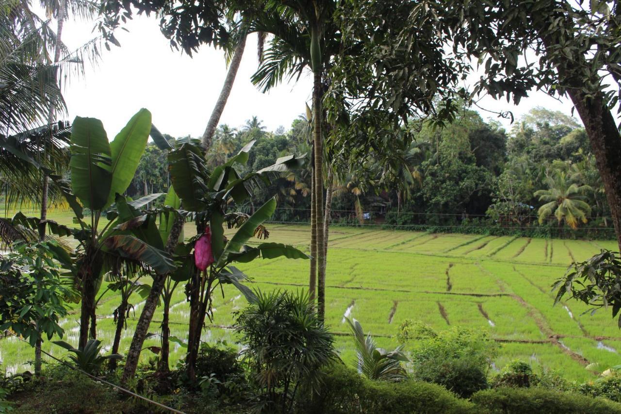 Paddy Field Villa Midigama East Exterior foto