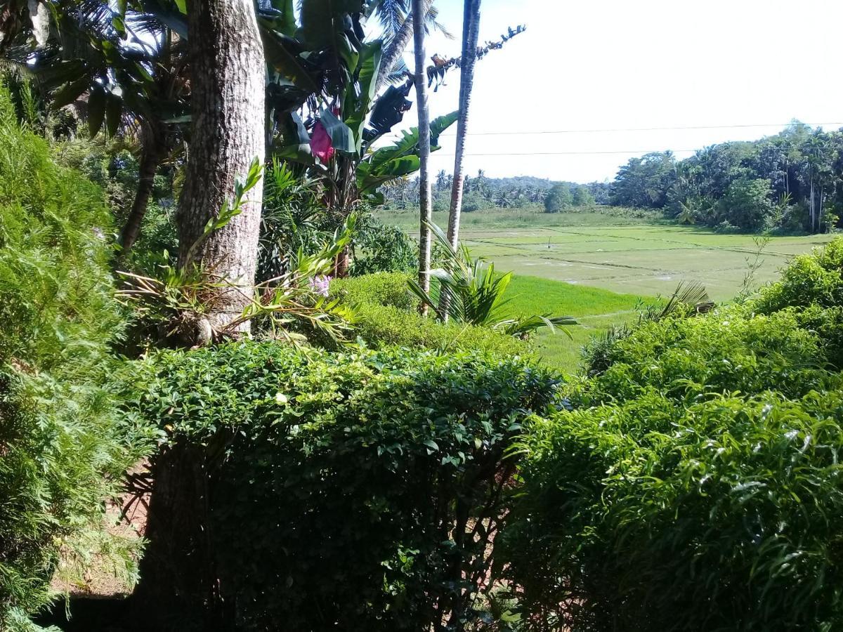 Paddy Field Villa Midigama East Exterior foto