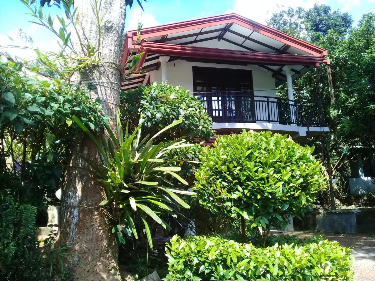 Paddy Field Villa Midigama East Exterior foto